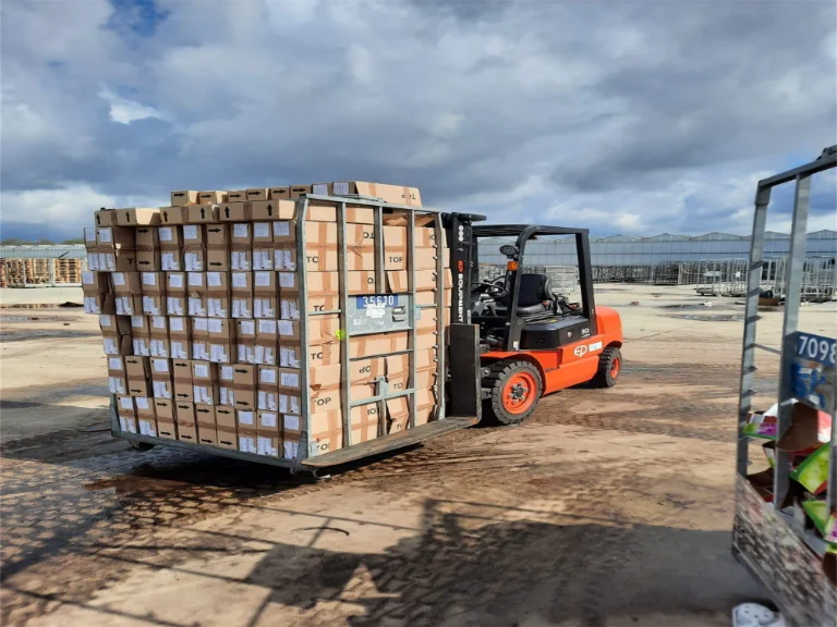 Forklift EP Equipment EFL302 - Tampilan 8